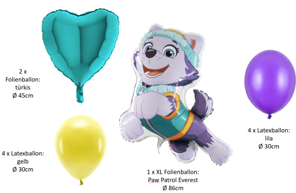 Comic / TV - SET: Paw Patrol, Everest - 11 Stk.